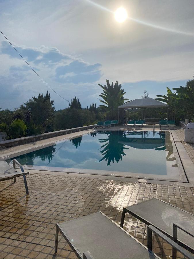 Agriturismo Corte Bozzini Villa Bardolino Dış mekan fotoğraf
